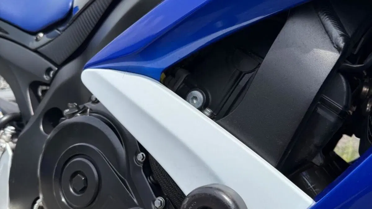 Suzuki GSX R 600 (2008 - 10)  (7)