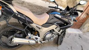 Yamaha TDM 900 (2002 - 14)  (3)