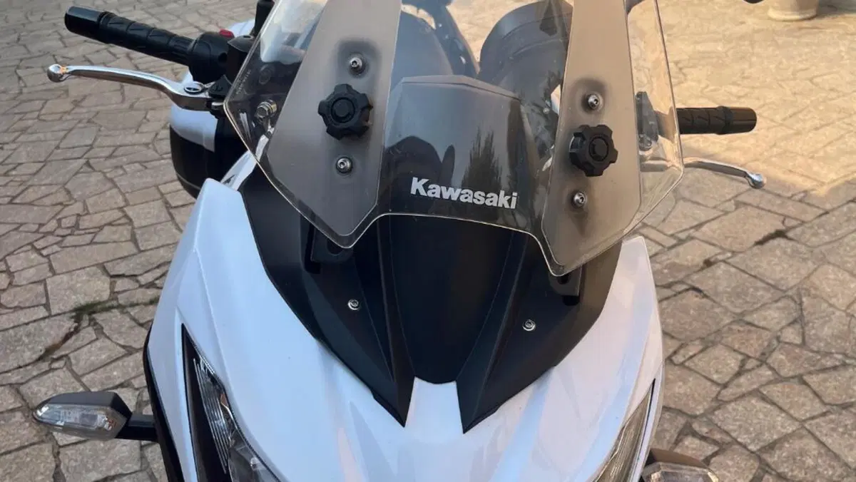 Kawasaki Versys 650 ABS (2015 - 16)  (2)