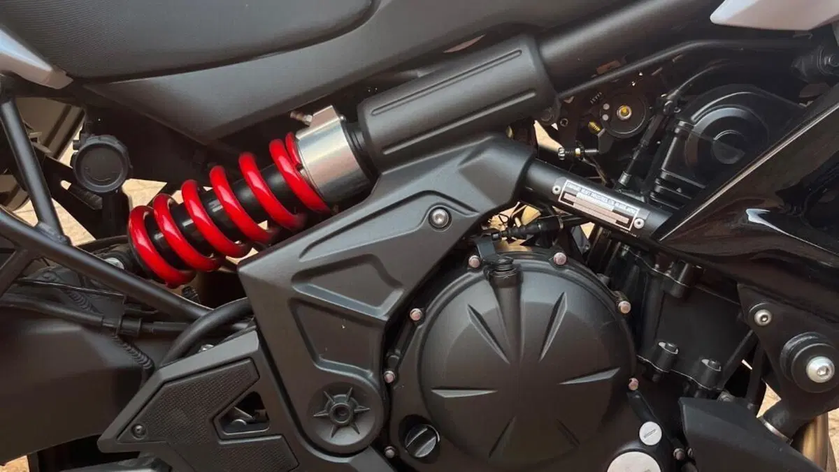 Kawasaki Versys 650 ABS (2015 - 16)  (4)