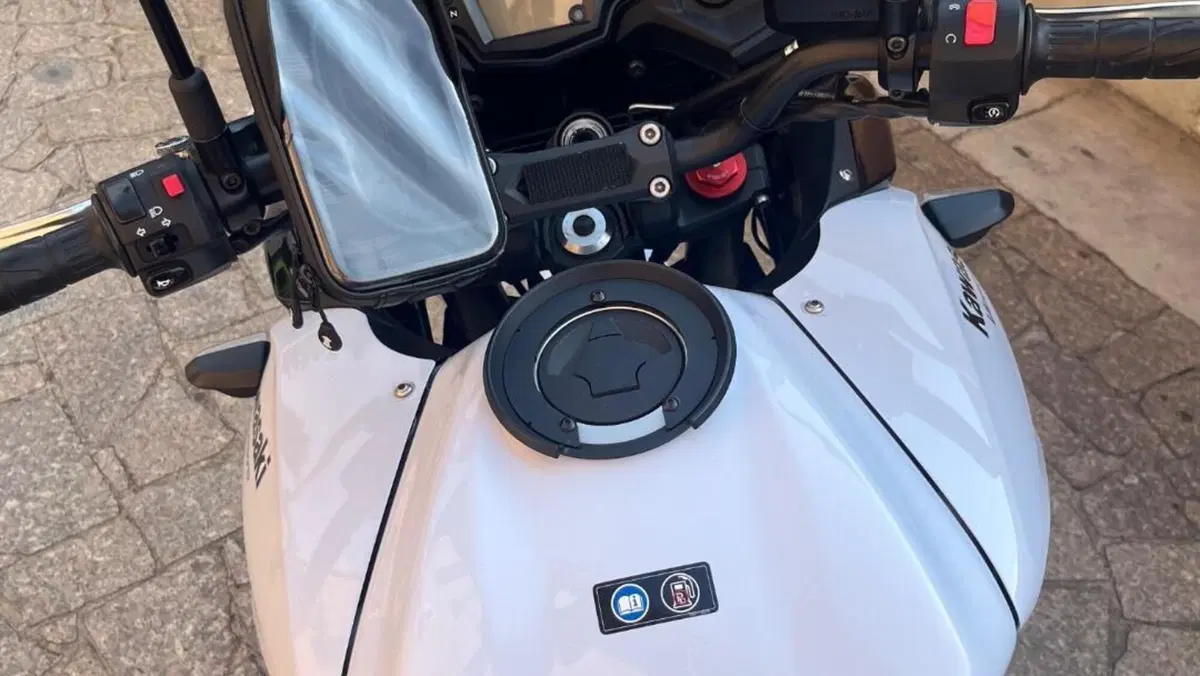 Kawasaki Versys 650 ABS (2015 - 16)  (13)