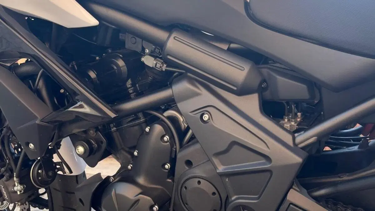 Kawasaki Versys 650 ABS (2015 - 16)  (16)