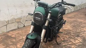 Benelli Leoncino 800 (2022 - 26)  (5)