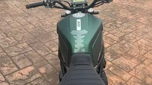 Benelli Leoncino 800 (2022 - 26)  (6)