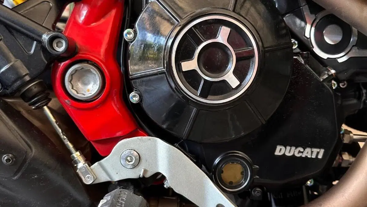 Ducati Scrambler 800 Desert Sled Fasthouse (2021 - 22)  (4)