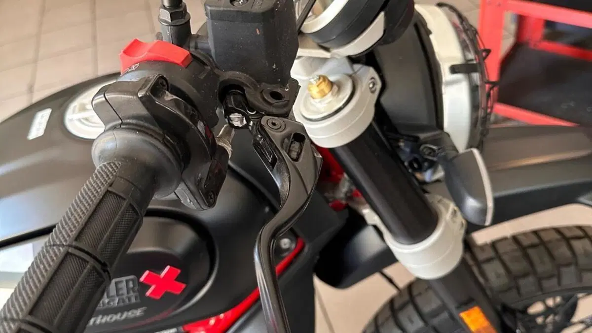 Ducati Scrambler 800 Desert Sled Fasthouse (2021 - 22)  (9)