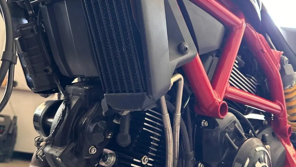 Ducati Scrambler 800 Desert Sled Fasthouse (2021 - 22)  (18)