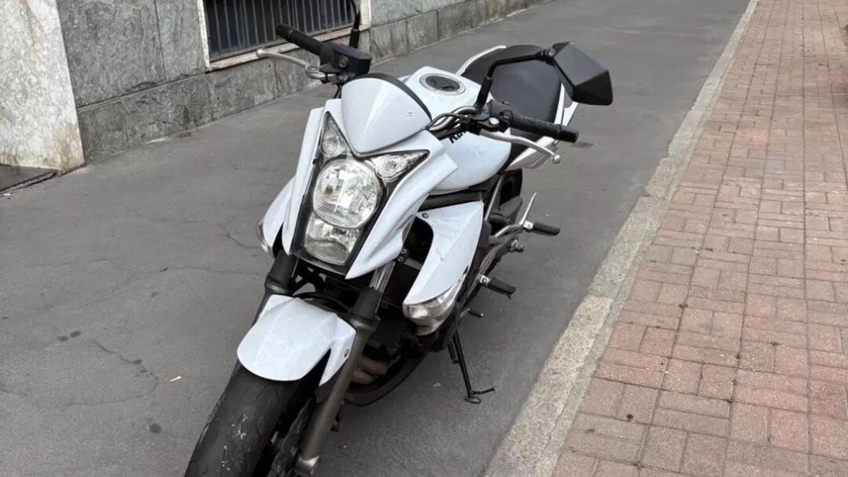Kawasaki ER-6N (2009 - 11) 