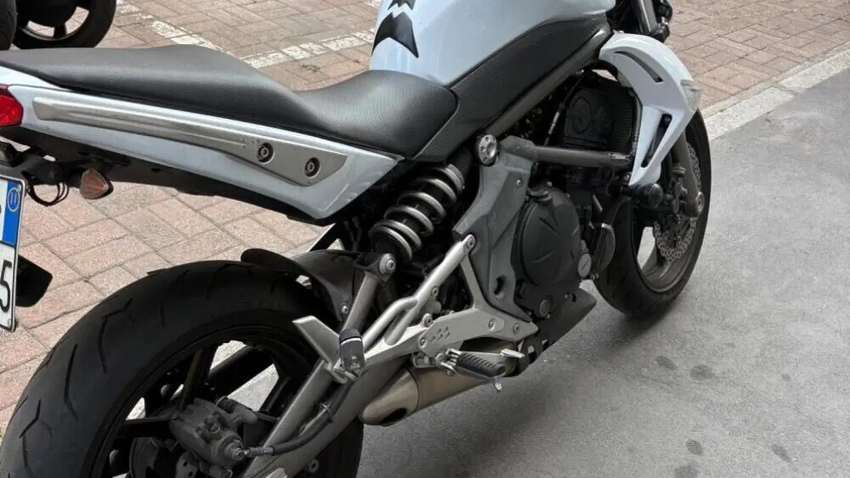 Kawasaki ER-6N (2009 - 11)  (2)