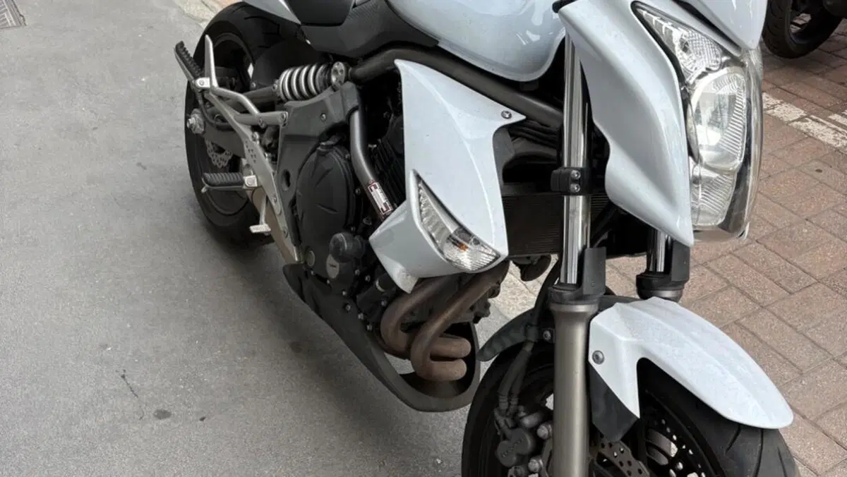Kawasaki ER-6N (2009 - 11)  (3)