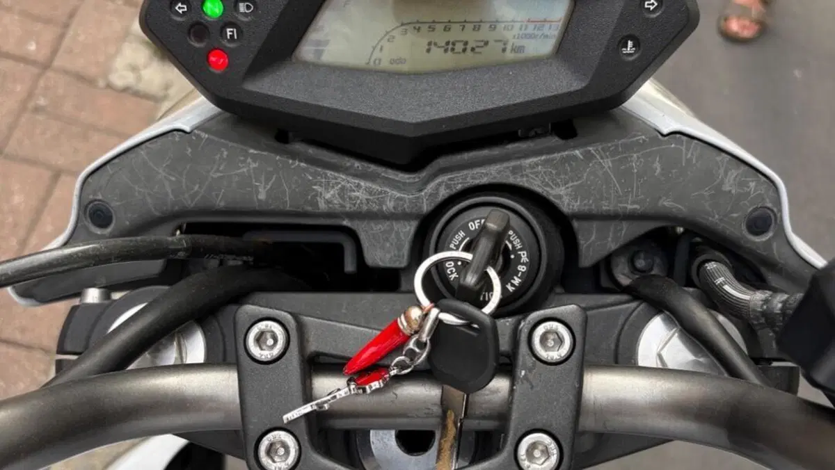 Kawasaki ER-6N (2009 - 11)  (4)