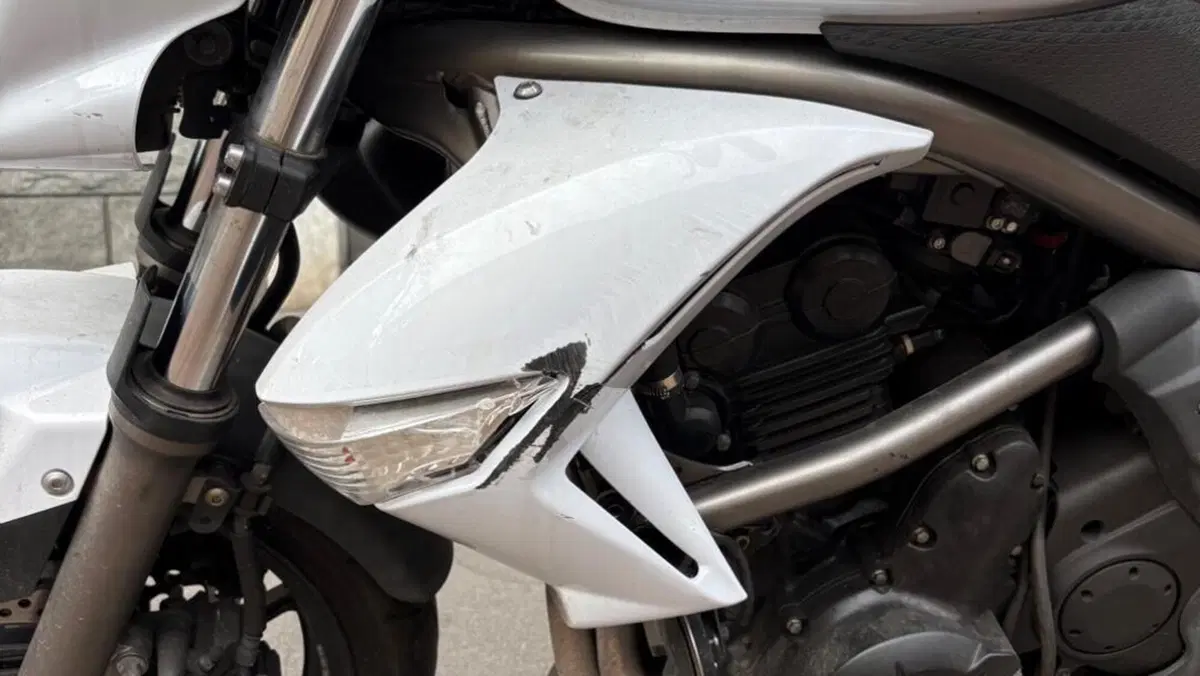 Kawasaki ER-6N (2009 - 11)  (6)