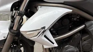 Kawasaki ER-6N (2009 - 11)  (6)