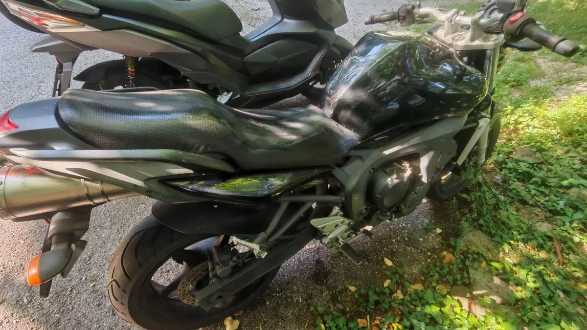 Yamaha FZ6 (2004 - 07)  (4)