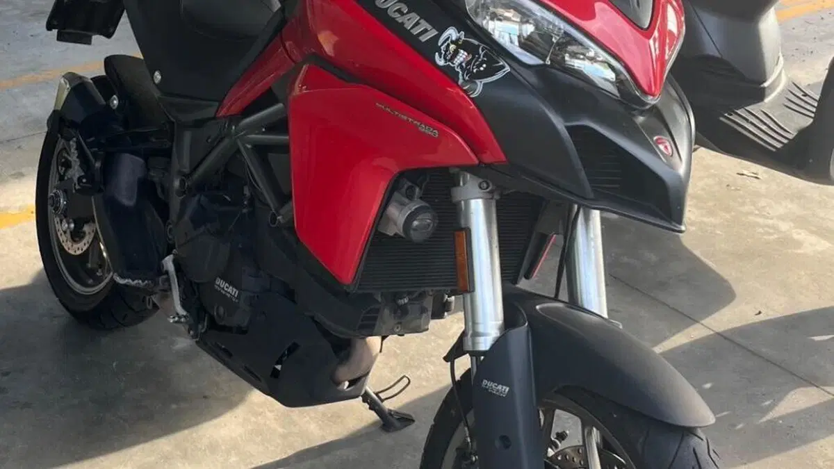 Ducati Multistrada 950 (2018)  (3)