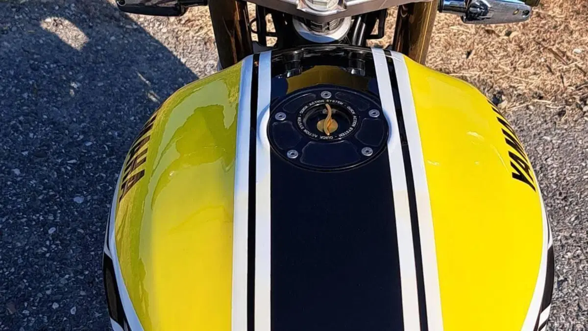 Yamaha   (6)