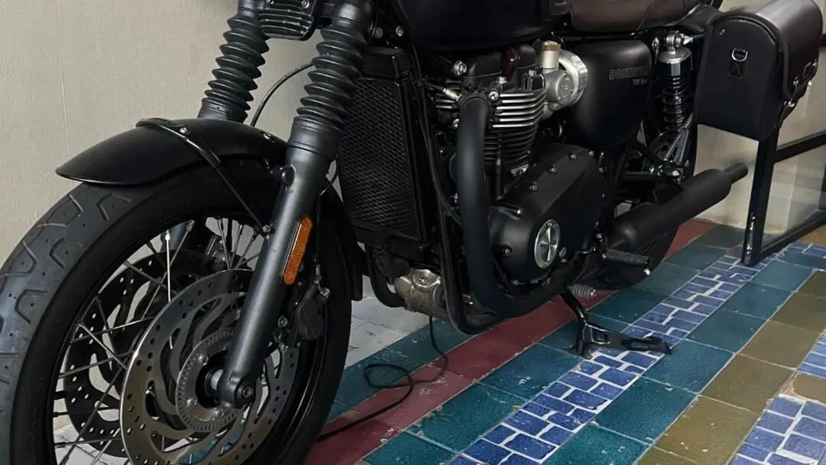 Triumph Bonneville T120 (2016 - 20)  (2)