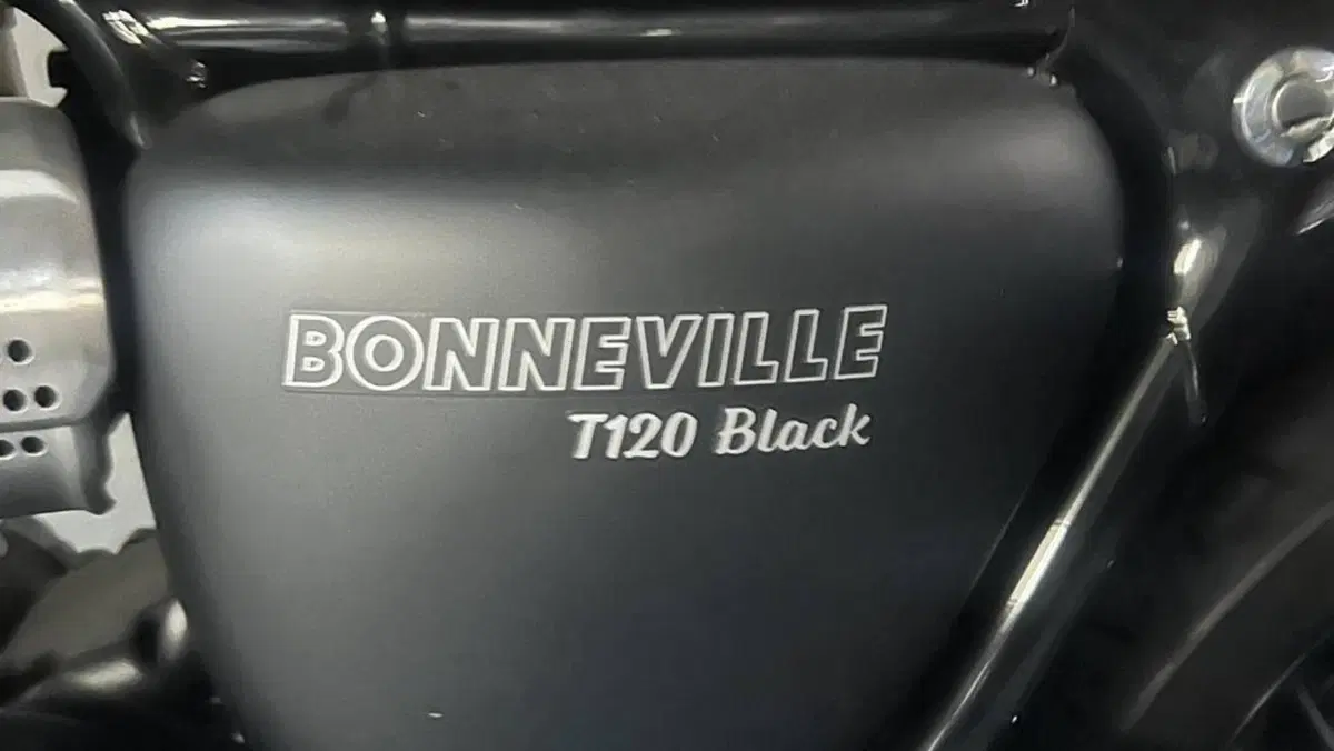 Triumph Bonneville T120 (2016 - 20)  (6)