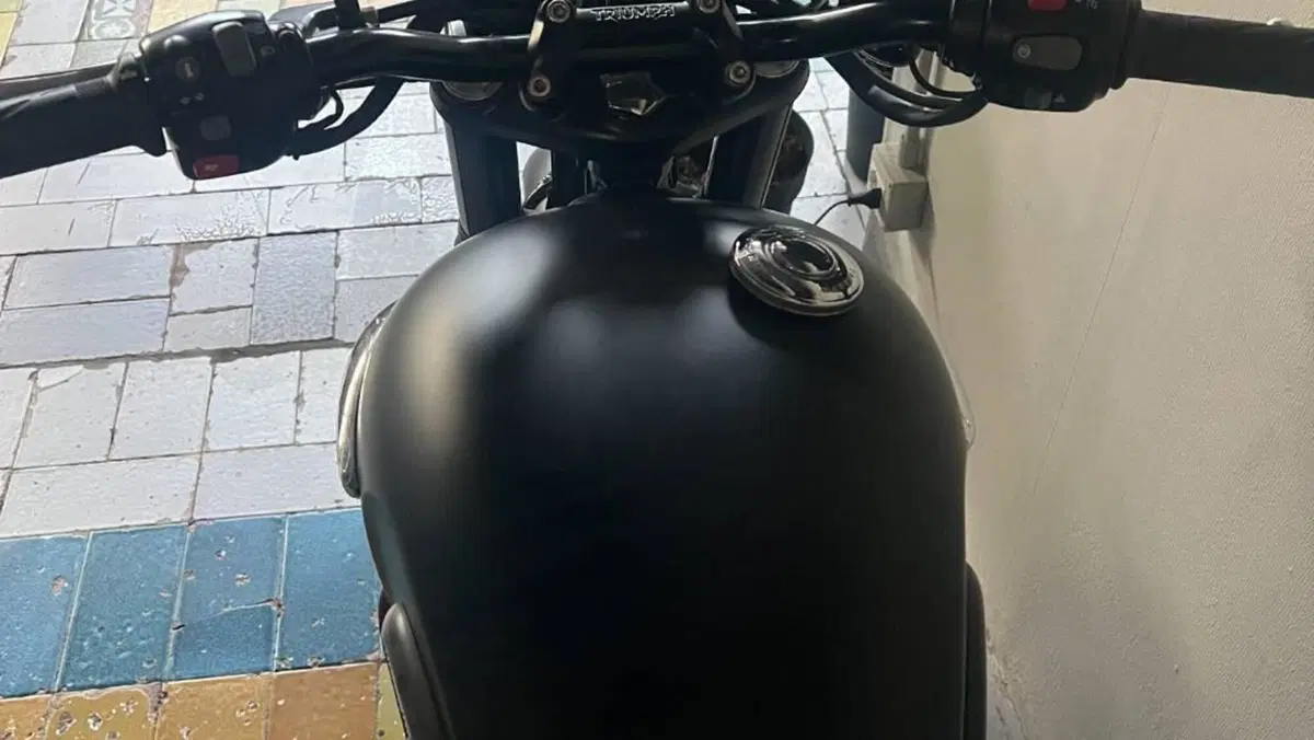 Triumph Bonneville T120 (2016 - 20)  (9)