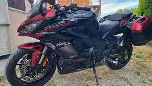Kawasaki Ninja 1000 SX Tourer (2021 - 24)  (2)