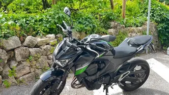 Kawasaki Z 800 e ABS (2012 - 16)