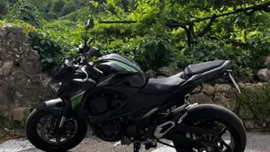 Kawasaki Z 800 e ABS (2012 - 16)  (3)