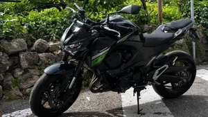 Kawasaki Z 800 e ABS (2012 - 16)  (5)