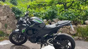 Kawasaki Z 800 e ABS (2012 - 16)  (8)