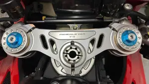 Ducati Panigale V4 R (2023 - 24)  (5)