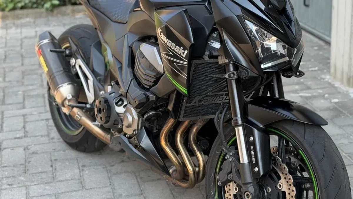 Kawasaki Z 800 ABS (2012 - 16) 