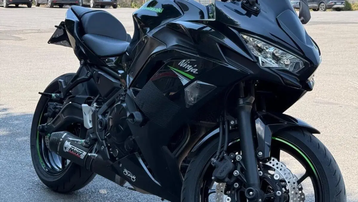 Kawasaki Ninja 650 Performance (2021 - 24)  (3)