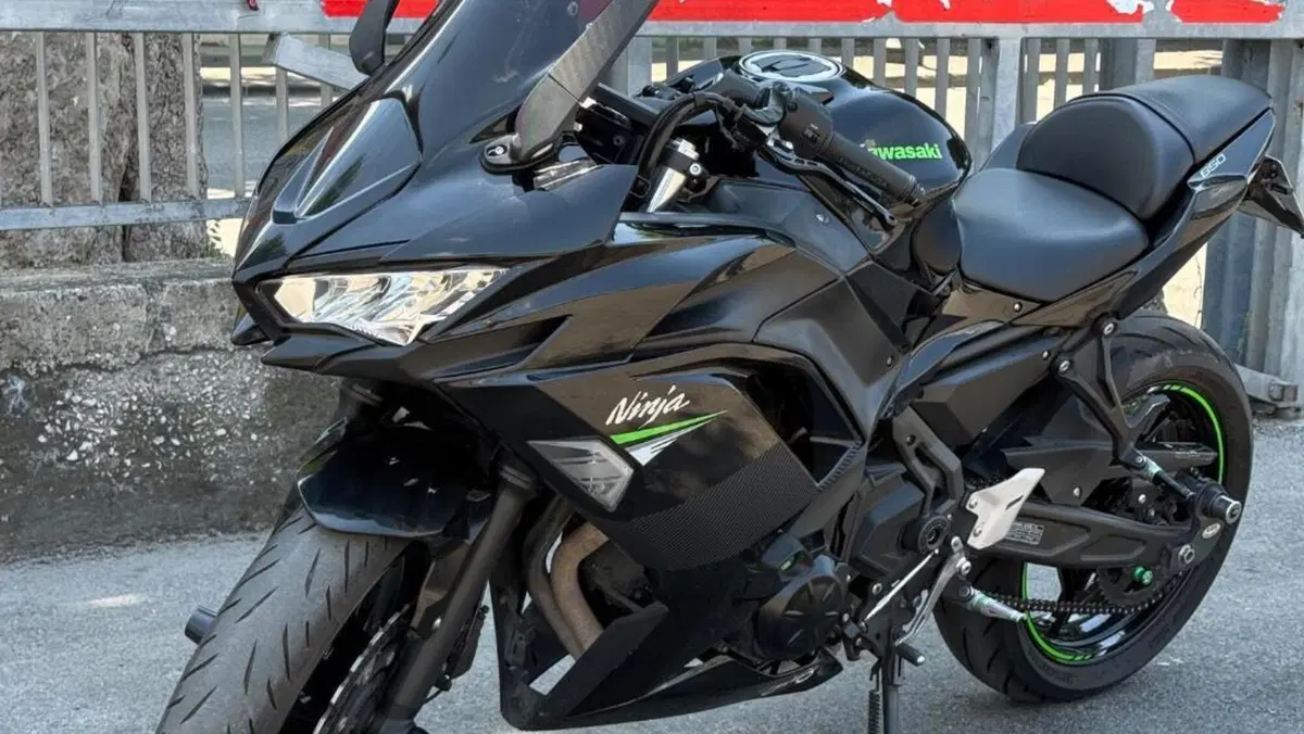 Kawasaki Ninja 650 Performance (2021 - 24)  (4)