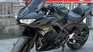 Kawasaki Ninja 650 Performance (2021 - 24)  (4)