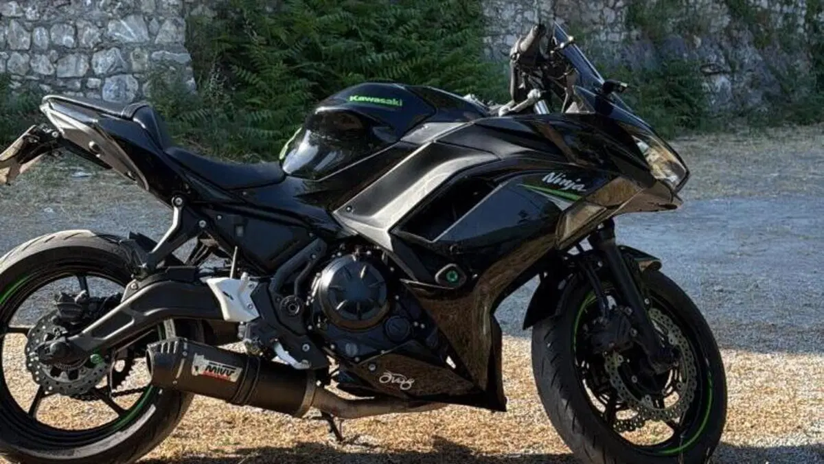 Kawasaki Ninja 650 Performance (2021 - 24)  (5)