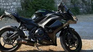 Kawasaki Ninja 650 Performance (2021 - 24)  (5)