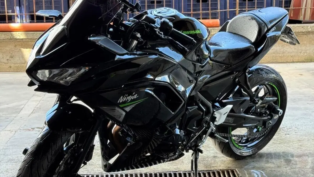 Kawasaki Ninja 650 Performance (2021 - 24)  (2)