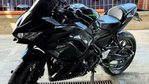 Kawasaki Ninja 650 Performance (2021 - 24)  (2)