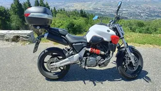 Yamaha MT-03 (2006 - 14) usata