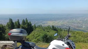 Yamaha MT-03 (2006 - 14)  (5)