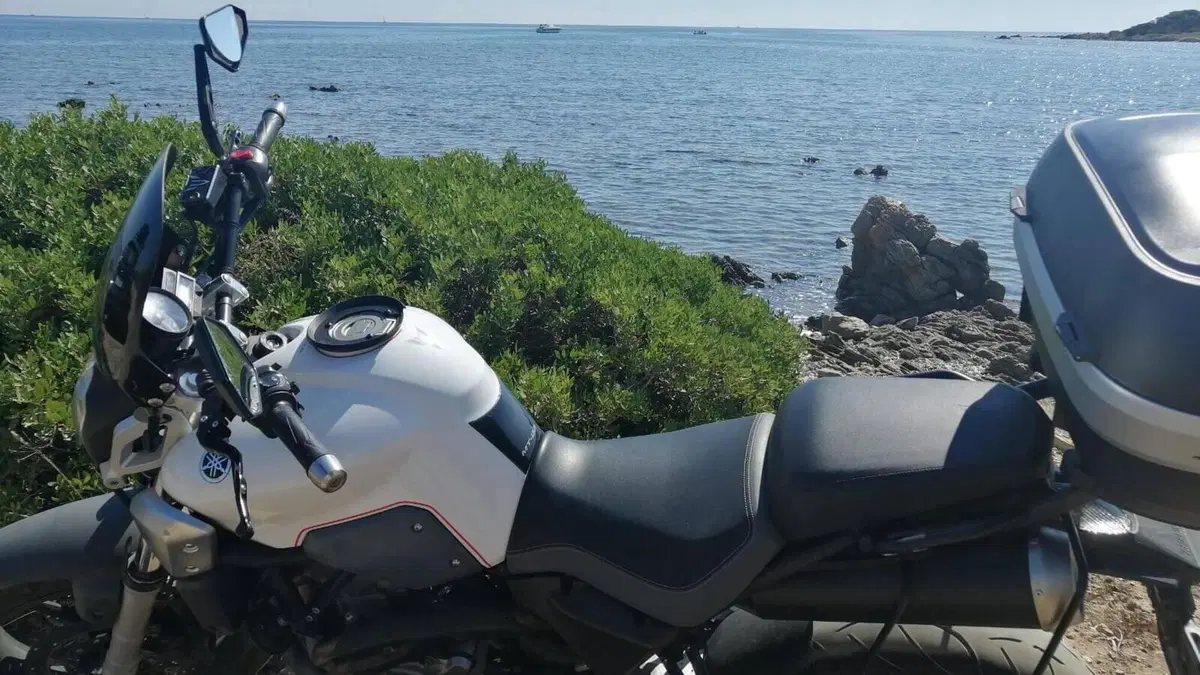 Yamaha MT-03 (2006 - 14)  (9)