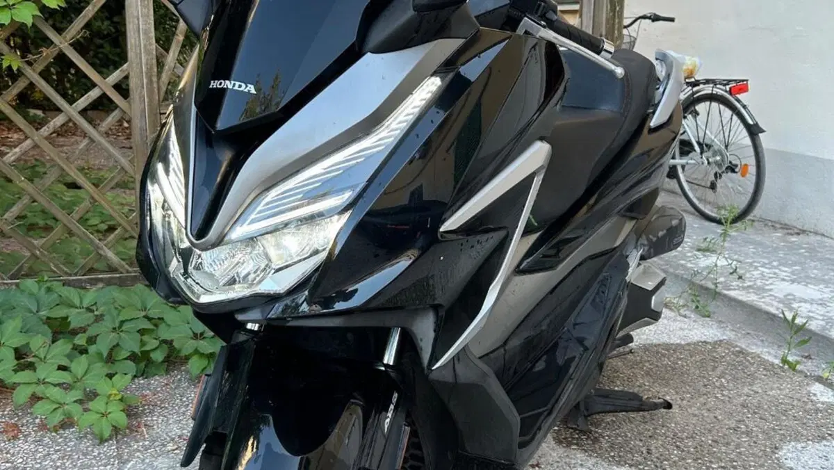 Honda Forza 350 (2022 - 24) 