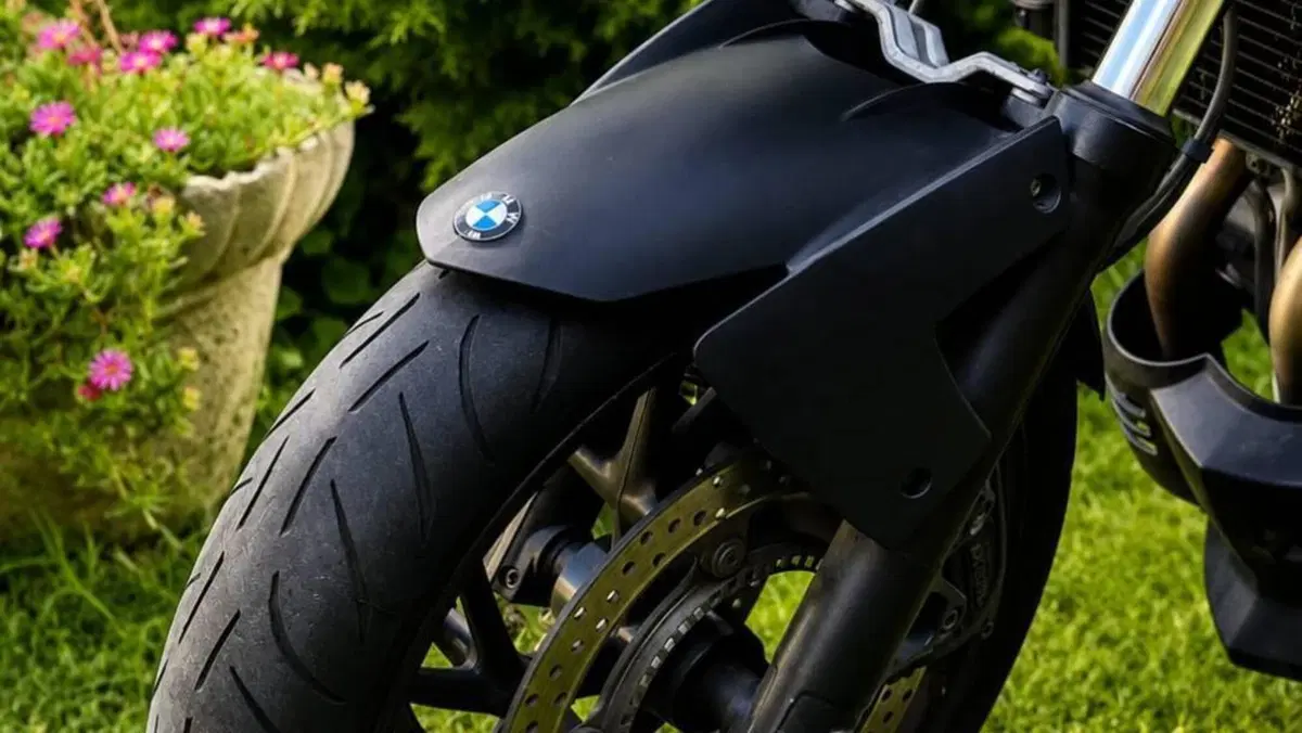 Bmw F 800 R (2009 - 11)  (6)