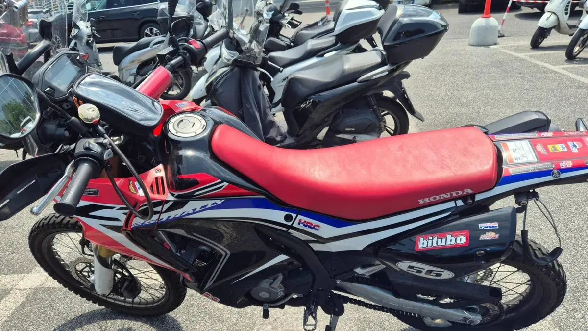 Honda CRF 250 Rally (2017 - 20)  (2)