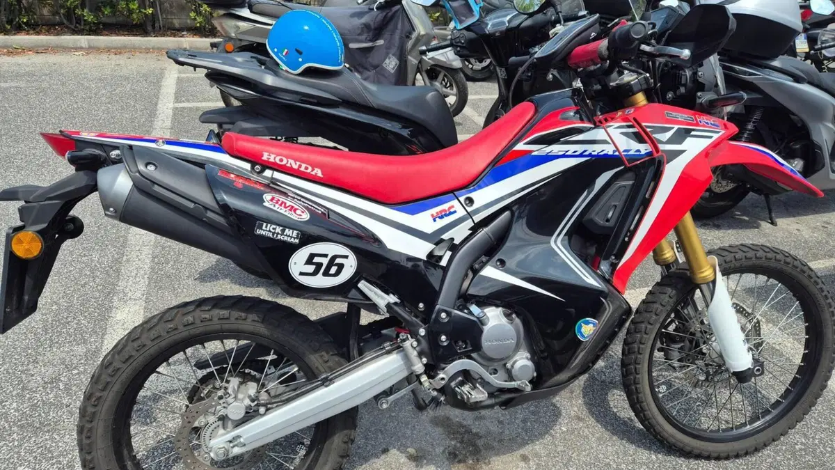Honda CRF 250 Rally (2017 - 20)  (4)