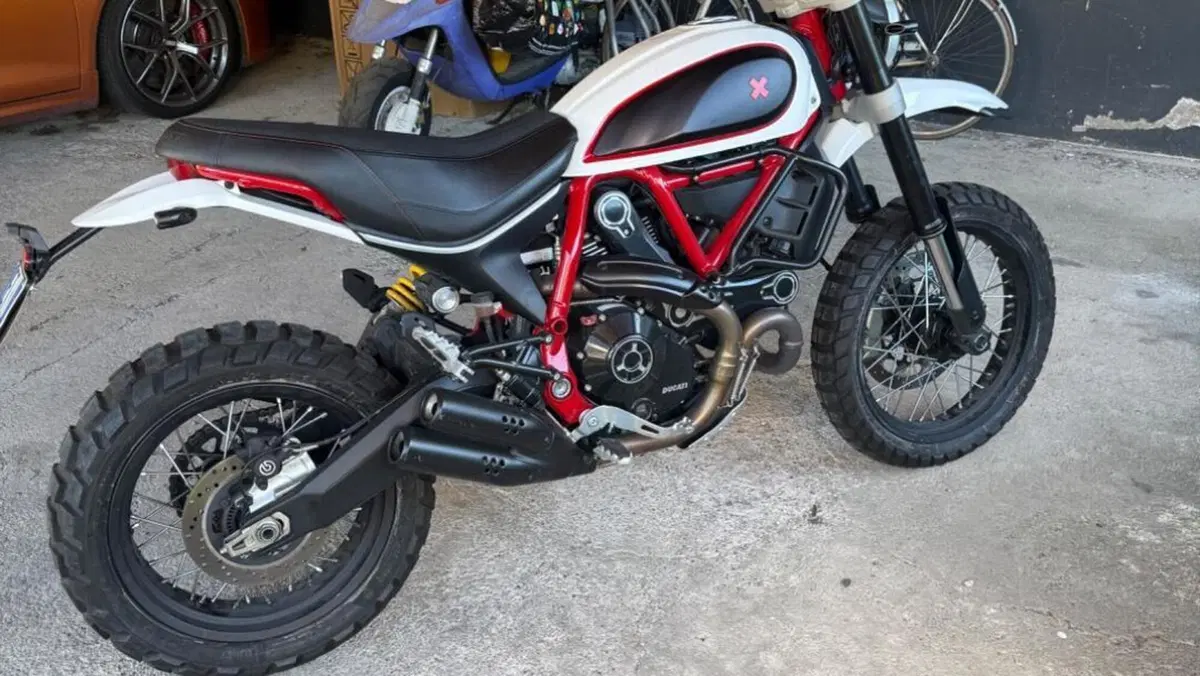 Ducati Scrambler 800 Desert Sled (2017 - 20)  (2)