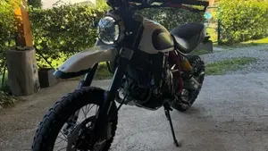 Ducati Scrambler 800 Desert Sled (2017 - 20)  (2)