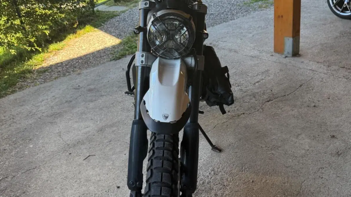 Ducati Scrambler 800 Desert Sled (2017 - 20)  (4)