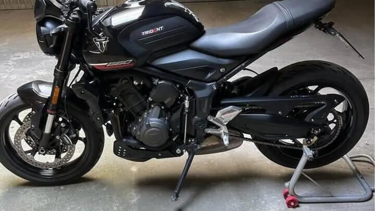 Triumph Trident 660 (2025)  (10)