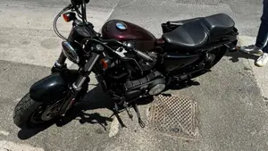 Harley-Davidson 1200 Forty-Eight Special (2018 - 20)  (2)