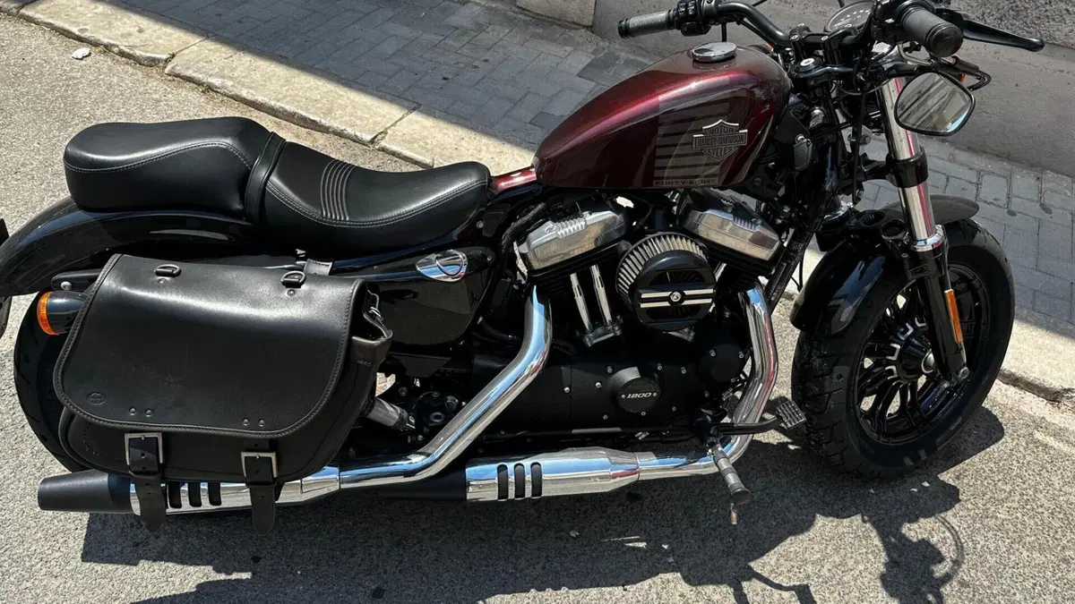 Harley-Davidson 1200 Forty-Eight Special (2018 - 20)  (3)